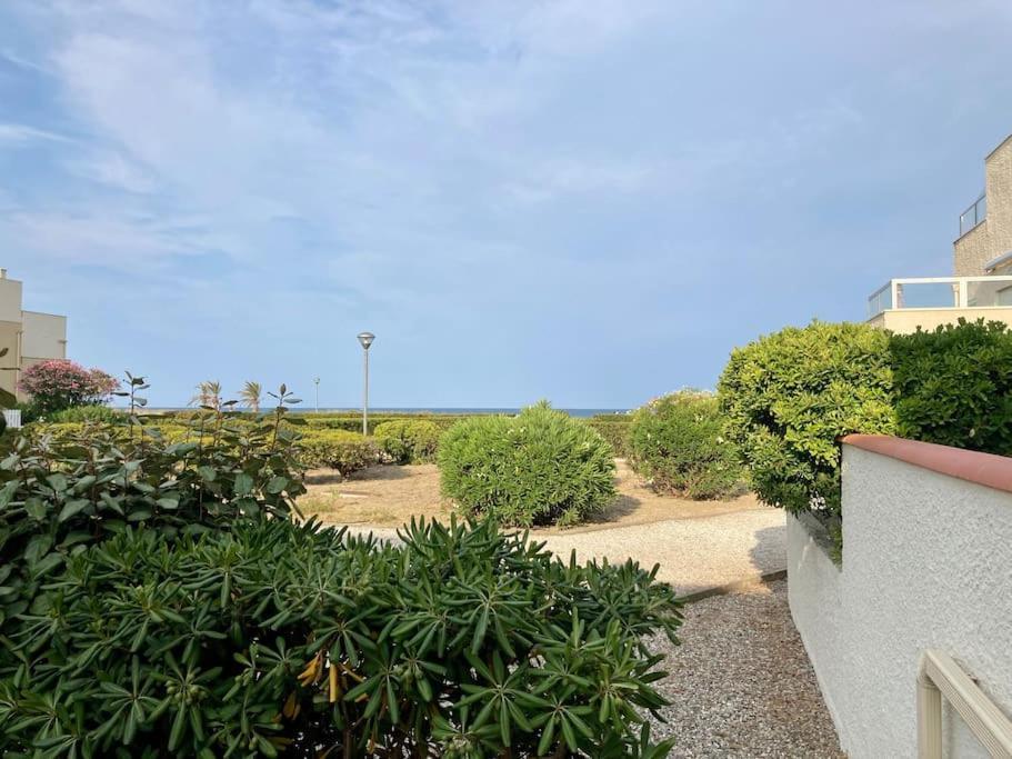 Le Grand Large 3 Pieces En Rez De Jardin, Avec Terrasse Et Acces Direct A La Plage A Pied Le Barcares Bagian luar foto